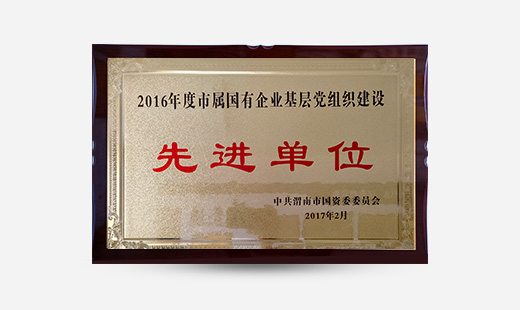 2016年度市屬?lài)?guó)有企業(yè)基層黨組織建設(shè)先進(jìn)單位