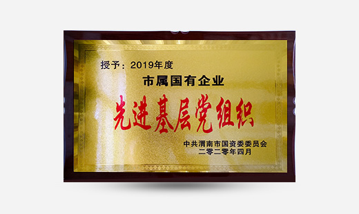 授予：2019年度市屬?lài)?guó)有企業(yè)先進(jìn)基層黨組織